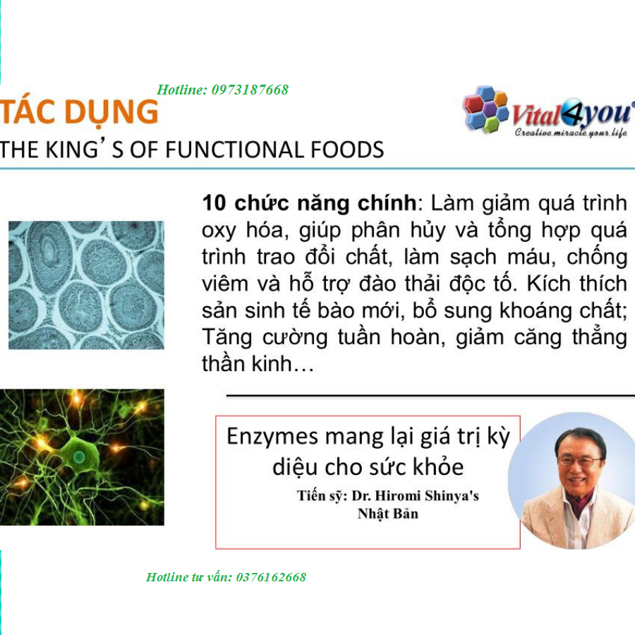 10 chức năng chính của vital enzyme chính hãng tại Hà Nội