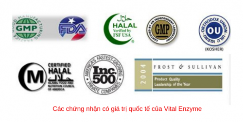 Địa Chỉ Bán Vital Enzymes Chính Hãng Uy Tín