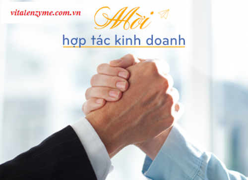 Mời hợp tác kinh doanh phát triển tại Vital Group