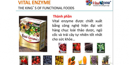 Mua vital enzymes chính hãng tại Bắc Giang