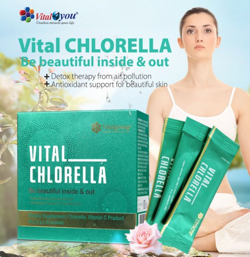 Công dụng tuyệt vời của Tảo Chlorella không phải ai cũng biết