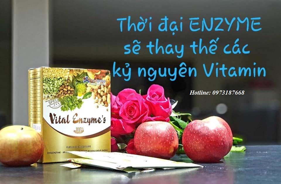 Mua vital enzymes chính hãng tại Hà Nội