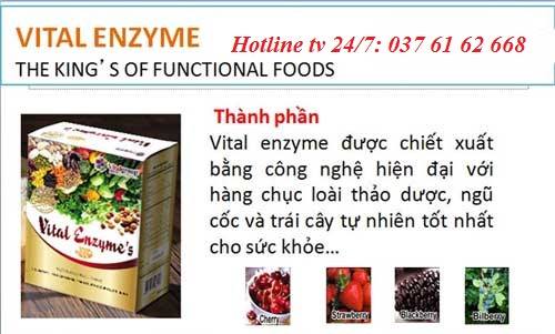 Thành phần của vital enzymes chính hãng tại Hà Nội