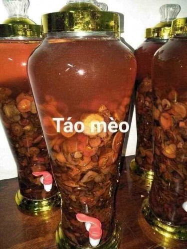 Táo mèo khô có tác dụng gì